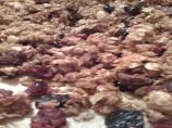 Granola. Photo by LaurietheLibrarian