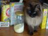 Laundry Detergent Powder