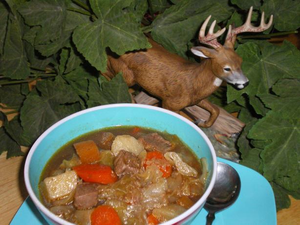 Venison Stew. Photo by Julie B's Hive