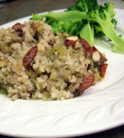 Creamy Chicken Casserole Low Cal, Low Fat. Photo by Derf