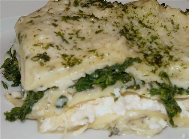 White Cheese Chicken Lasagna. Photo by LizzieBug