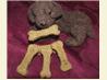 Peanut Butter/Graham Dog Biscuits