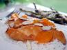 Mandarin Orange Chicken Delight. Recipe by Two Socks