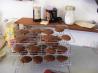 Soft Ginger Puff Cookies. Recipe by Kittencalskitchen