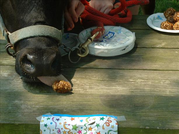 Sport and Misty's Horse Cookies. Photo by Roger/OH