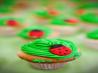 Kittencal's Bakery Buttercream  Frosting/Icing