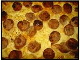 Brunch Casserole