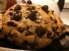 Bakery Style Chewy Chocolate Chip Cookies