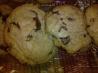Bakery Style Chewy Chocolate Chip Cookies