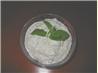 Tzatziki