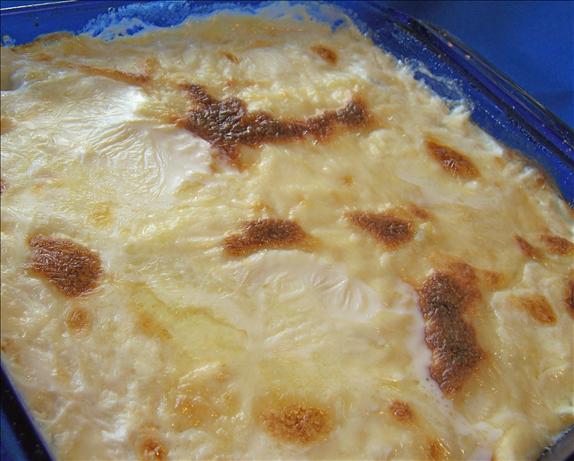 Fennel Gratin. Photo by *Parsley*