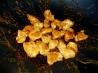 Sweet Jalapeno Chicken. Recipe by EdsGirlAngie