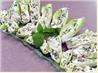 Stuffed Endive Spears