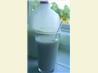 Vanilla Milk. Recipe by Pantry Chef Starkey