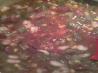 Barb's Gumbo