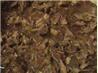 Pulled Flank Steak Salsa Style
