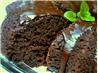 Peppermint Fudge Cake