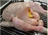 Engagement Chicken