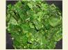 Lemon & Garlic Spinach