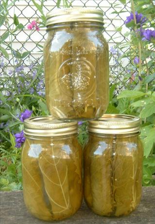 Preserved Grape Leaves. Photo by Cynna