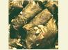 Stuffed Grape Leaves Lebanese