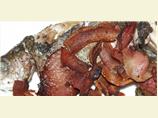 Breakfast Trout with Bacon