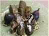 Grape Leaves Stuffed With Goat Cheese & Figs. Recipe by Rita~
