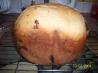 Bread Machine Fruit Loaf. Recipe by Sassy Syrah