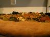 Pizza Dough (With No Yeast)