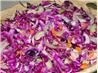 Red Apple, Onion, and Cabbage Salad