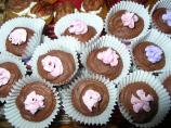 Copycat Fantastic Chocolate Mint Frangos