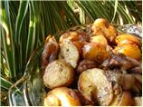 Balsamic Roasted Onions and Potatoes