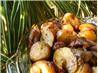 Balsamic Roasted Onions and Potatoes. Recipe by Lorac