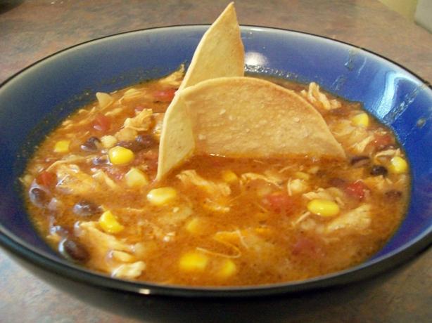 The Best Chicken Tortilla Soup. Photo by cookandcookagain