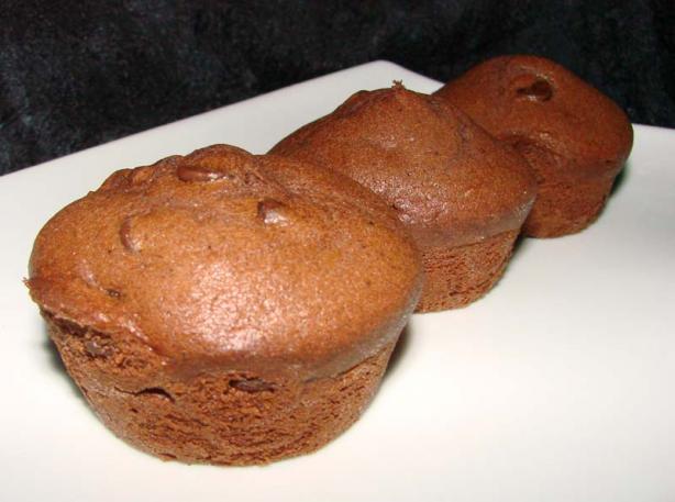 Double Chocolate Cocoa Cupcakes. Photo by Boomette