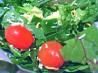 Ed's Salad