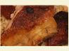 Duck Tareko (Crispy Deep-Fried Duck Marinated in Nepali Spices). Recipe by Tulsi Regmi