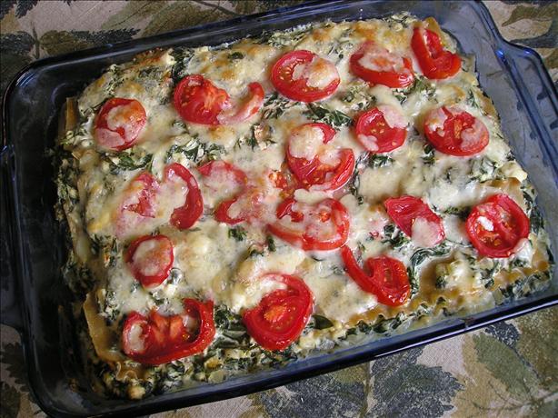 Spanakopita Lasagna. Photo by Jenny Sanders