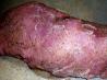 Pork Tenderloin, the Best Ever