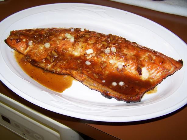 Orange Marmalade Marinated Salmon, Chicken. or Pork. Photo by Chef PotPie