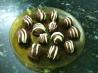 Oreo Truffles