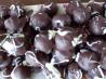 Oreo Truffles