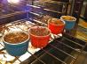 Apple or Pear Crisp for One