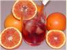 Negroni Cocktail