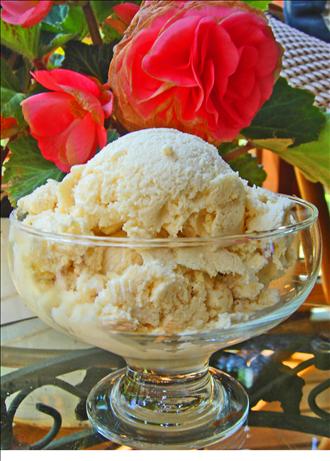 Jon's Sugar free French Vanilla Ice Cream. Photo by Bev