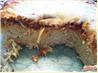 Baked Spaghetti Pie. Recipe by Little Bee
