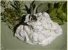 Roasted Garlic, Herb  Butter. Recipe by Rita~