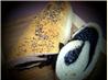 Poppy Seed Roll (Makowiec) & Bread Machine Method