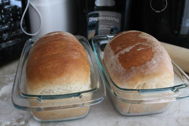 Quick Yeast Bread. Photo by StiffyCapps