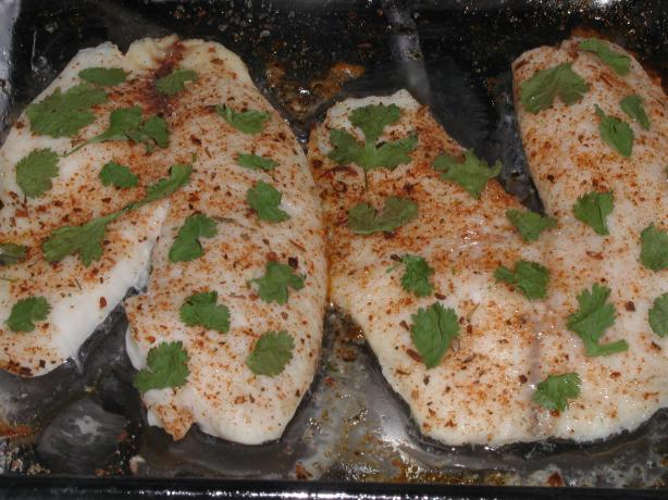 Cilantro Tilapia. Photo by mailbelle